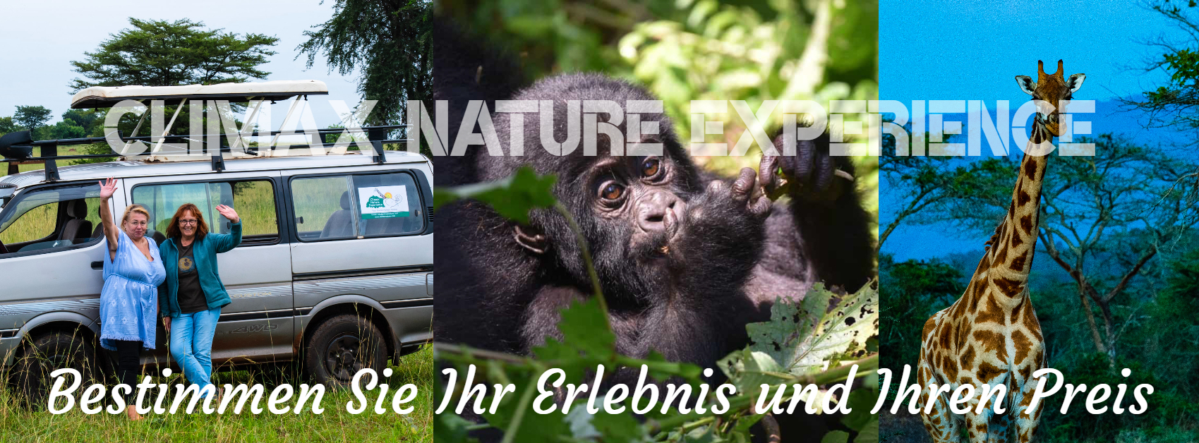 Climax Nature Experience