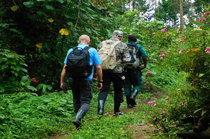 Touristen auf einer Naturwanderung